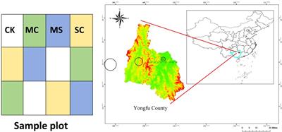 Improving soil carbon sequestration stability in Siraitia grosvenorii farmland through co-application of rice straw and its biochar